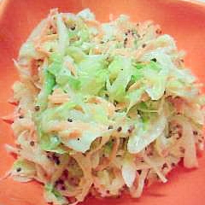 野菜をもりもり食べようっ!コールスロー